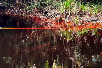 幻の魚が釣りたくて——真っ赤な川に行ってきたよ。