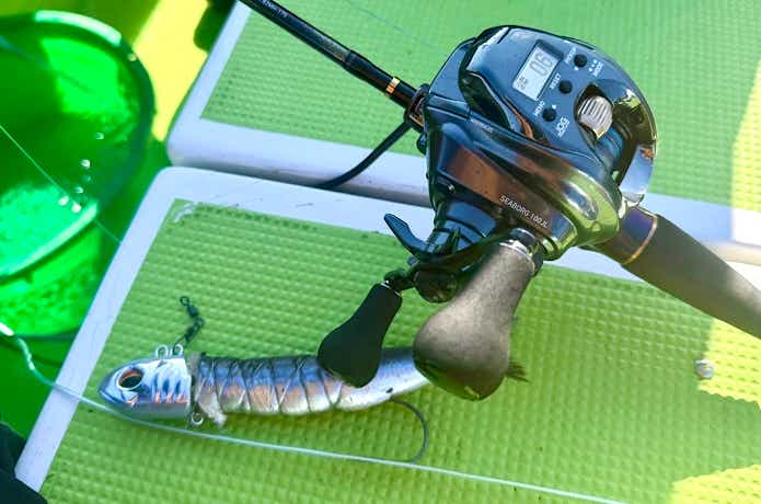 テンヤタチウオ