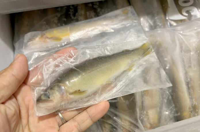 アユ袋を使った簡易真空