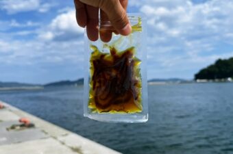 【釣り餌革命！？】怪しすぎるパッケージの中身は…まさかの“生のアレ”だった