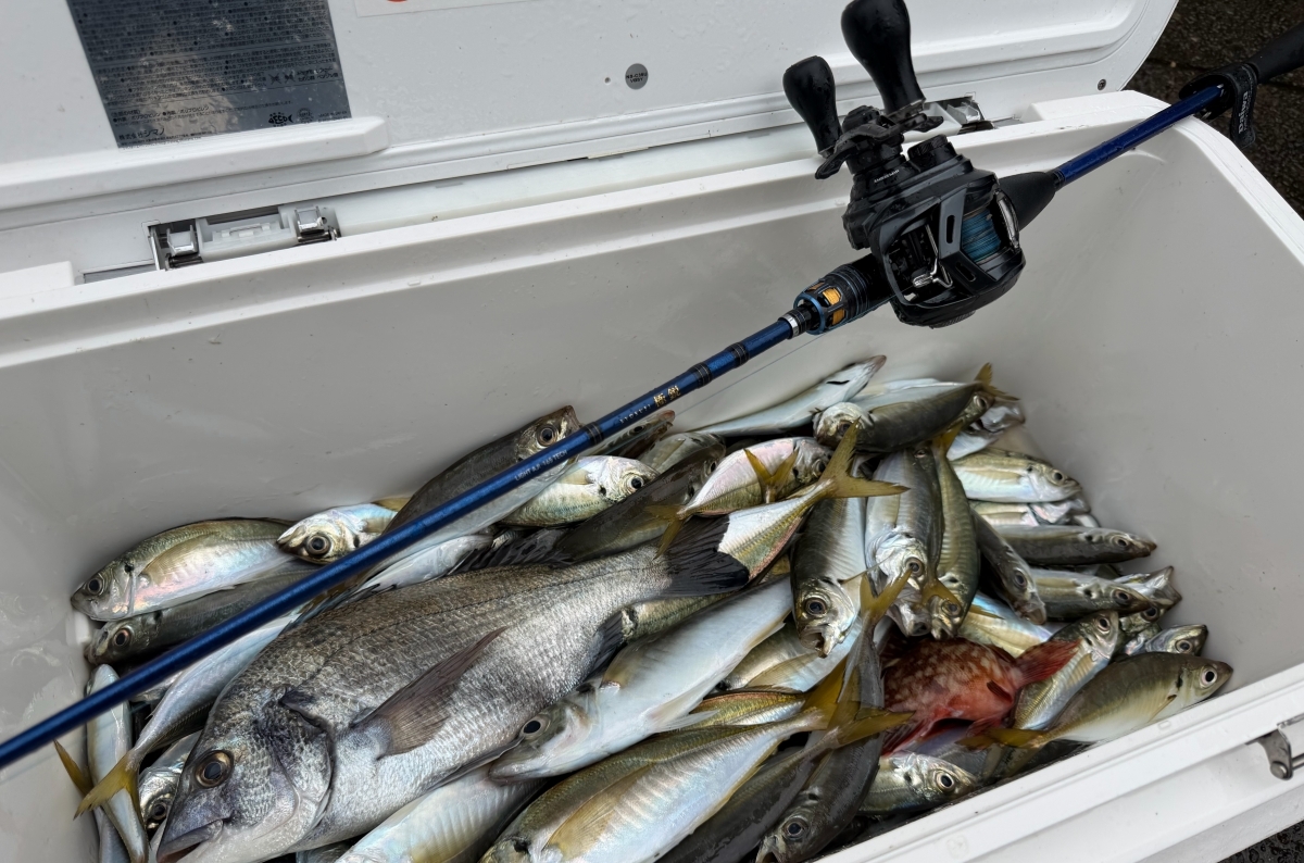 高級竿に“値段の理由”はあるのか。実際に使って確かめてみた