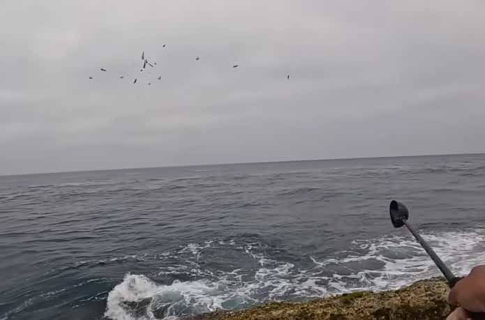 スルルー杓でキビナゴを撒いた瞬間