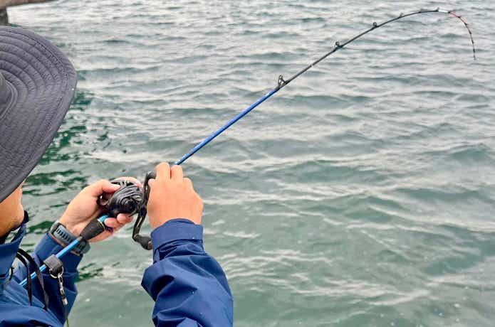 パターンが豊富