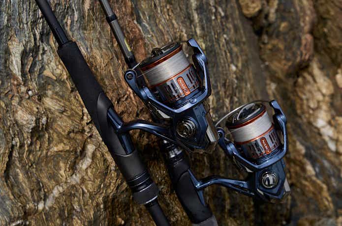 注目のNEWリール