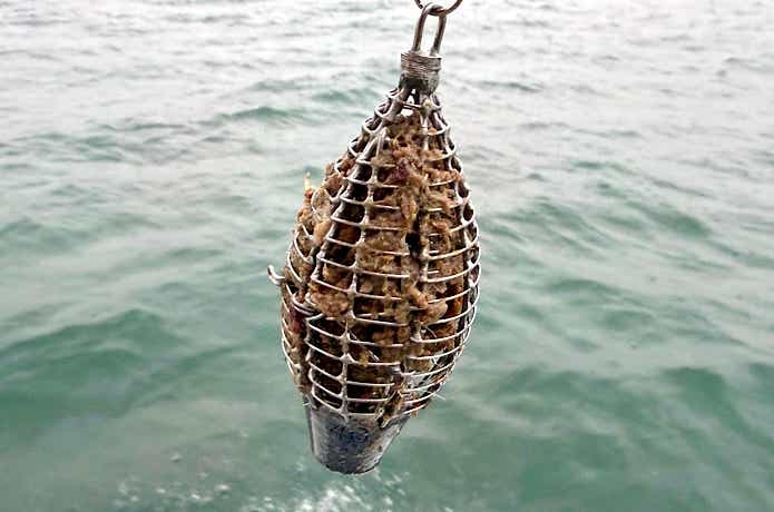 コマセを詰める