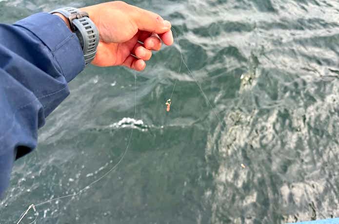 仕掛けを先に入れる