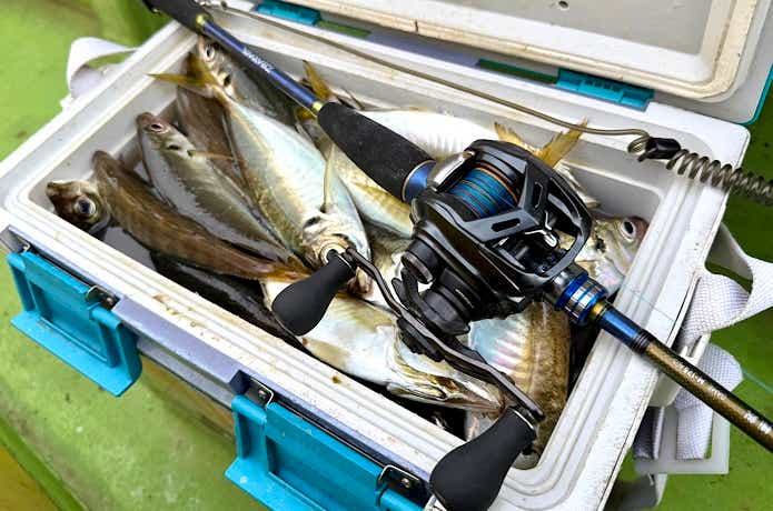 差が生まれるのも魅力