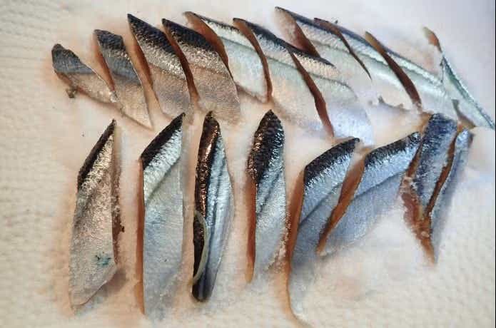 釣り餌として用意したサンマの切り身