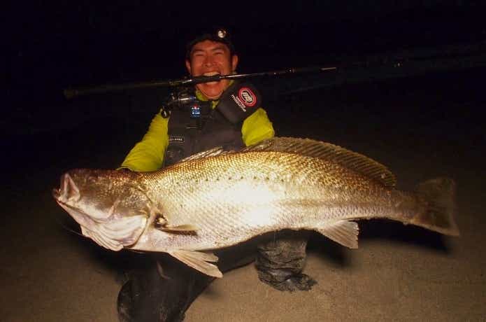 1mを超えるオオニベ