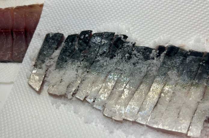 釣り餌用に塩でサバを〆る様子