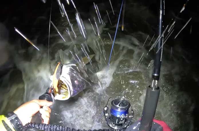 オオニベをキャッチした瞬間