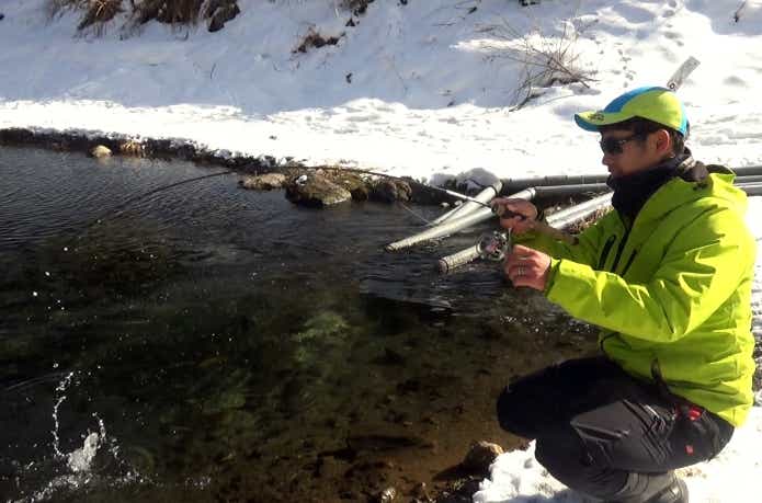 ニジマスとファイトする怪魚ハンター山根