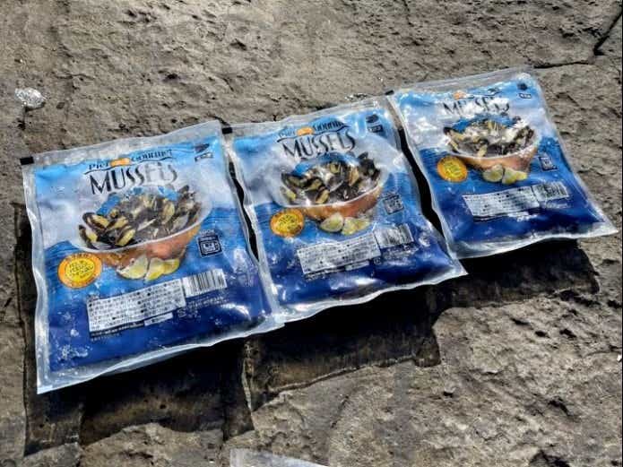 イシダイのブッコミ釣りで使用するムール貝