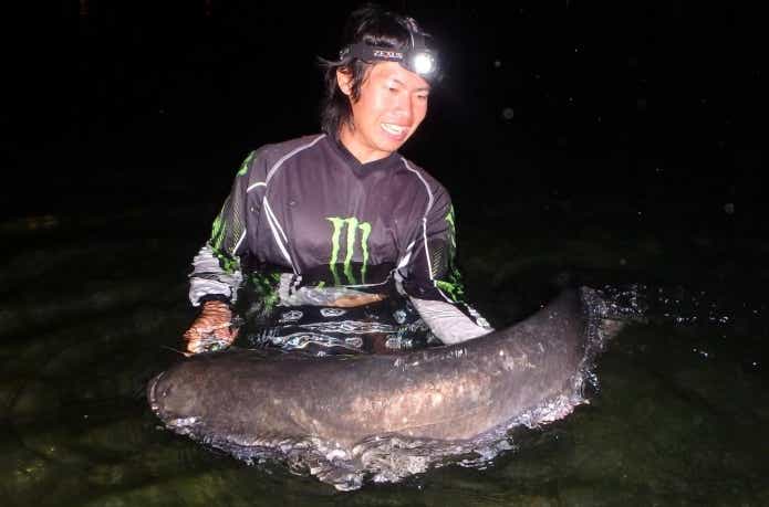 琵琶湖で釣り上げられたビワコオオナマズ