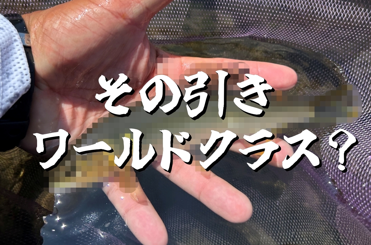 【油断禁物】小さくても異常に引く魚たち〜小さきファイター列伝〜