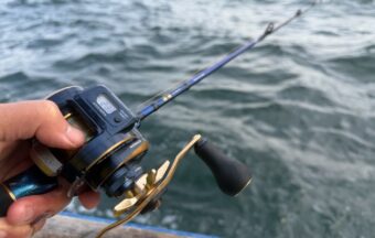 よく釣れる。楽しい。でもこの釣り、タナを外すと始まらない