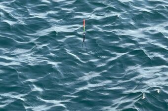 冬の堤防釣りでも出会える。よく引いて、美味しい魚を狙ってみませんか？