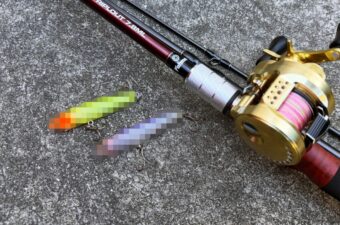 自己記録95.5cmを引きずり出したのは、たった75mmのルアーだった。