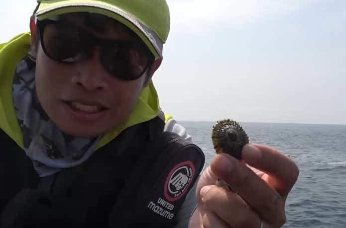磯で手に入る釣り餌であるジンガサ