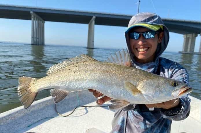 アメリカで釣り上げられたニベの仲間であるシートラウト