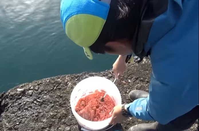 コマセを入れたバケツ