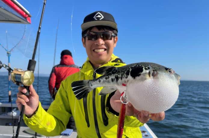 伊勢湾ジギングで釣れたトラフグ