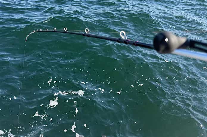 クセがない調子