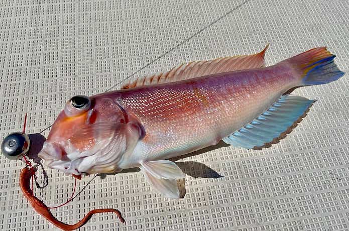 準備すれば快適に釣りができる