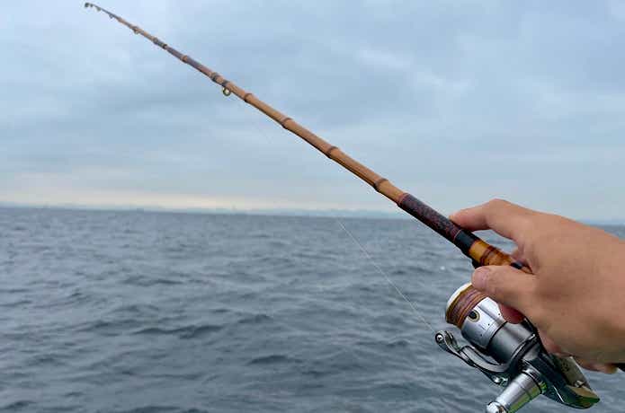 シロギスの誘い方