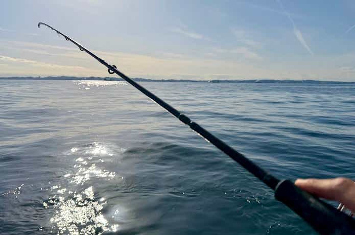 釣りをする判断もある