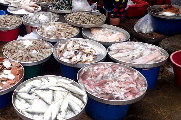 東南アジアの市場に並ぶアカイカ