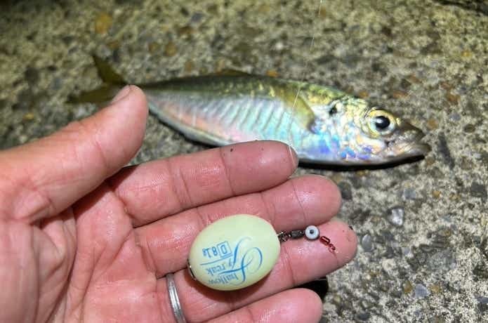 シモリペットを使ったフロートリグ