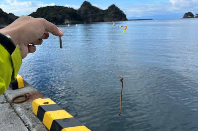 遊動式胴突き仕掛け