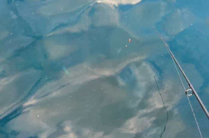 ウキが沈む瞬間