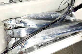 これで実売1万円台って、シマノさんそれってアリなんですか？