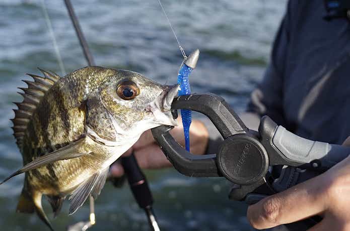 定価3,000円の低価格