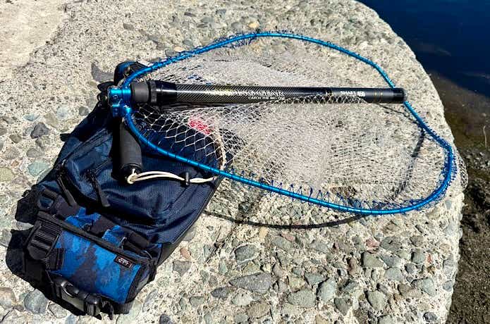 迷ったらこれがおすすめ