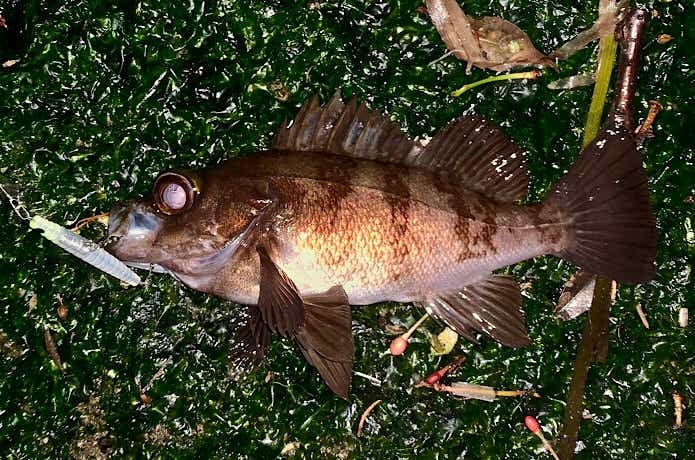 過去のデータにとらわれない