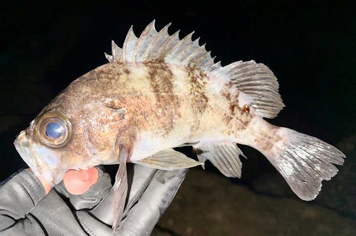 釣果にこだわりすぎない