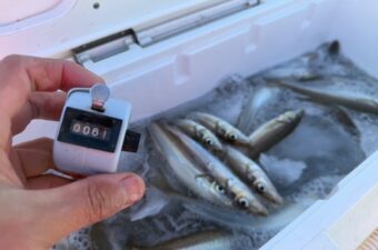 「船釣りって高いよね〜」って……言うじゃな〜い？