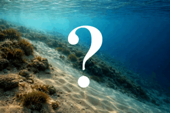 釣れる人が密かに押さえている「ポイント選び」の共通点