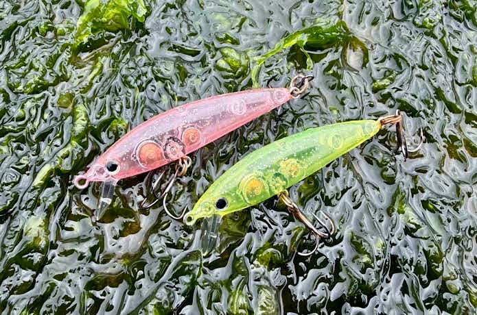 スミスのルナメバル