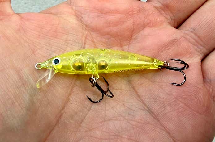 小粒サイズと控えめなアクションの組み合わせ