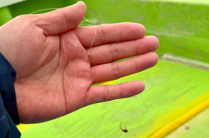 仕掛けが長持ちする