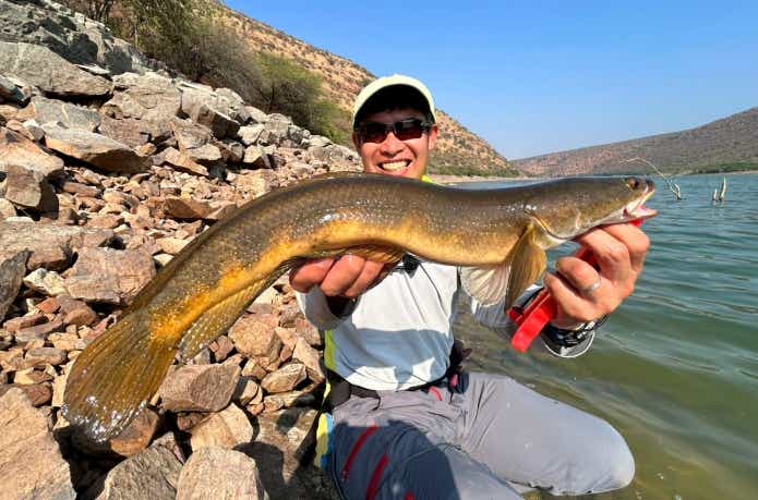 コブラスネークヘッドとも呼ばれるマルリウス