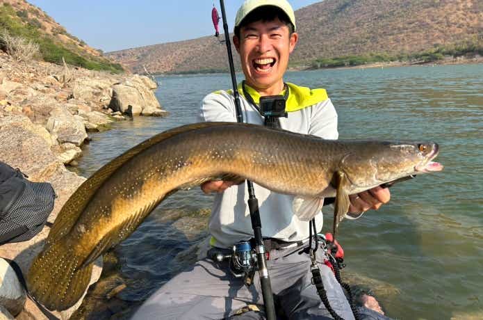 スターダスト模様が特徴的なペンナ川のマルリウス