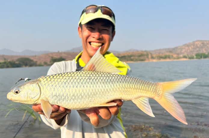 夕陽に照らされたミリガルカープ