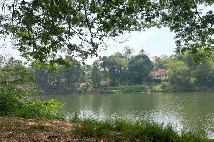 ケララ州の川辺