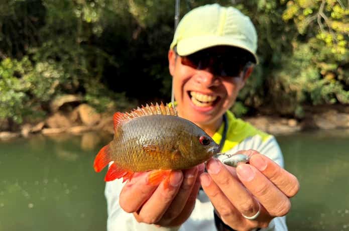 真っ赤な尾鰭が特徴のリーフフィッシュ
