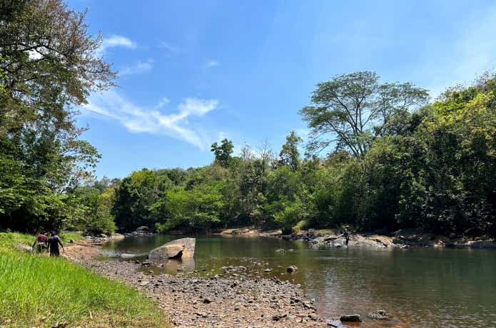 リーフィッシュが棲息する渓流域